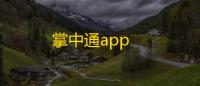 掌中通app